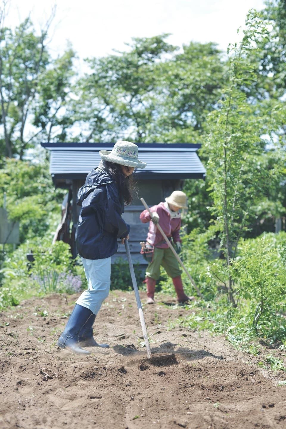 北海道産〈無農薬・無化学肥料栽培〉ハーブティー　ラズベリーリーフ