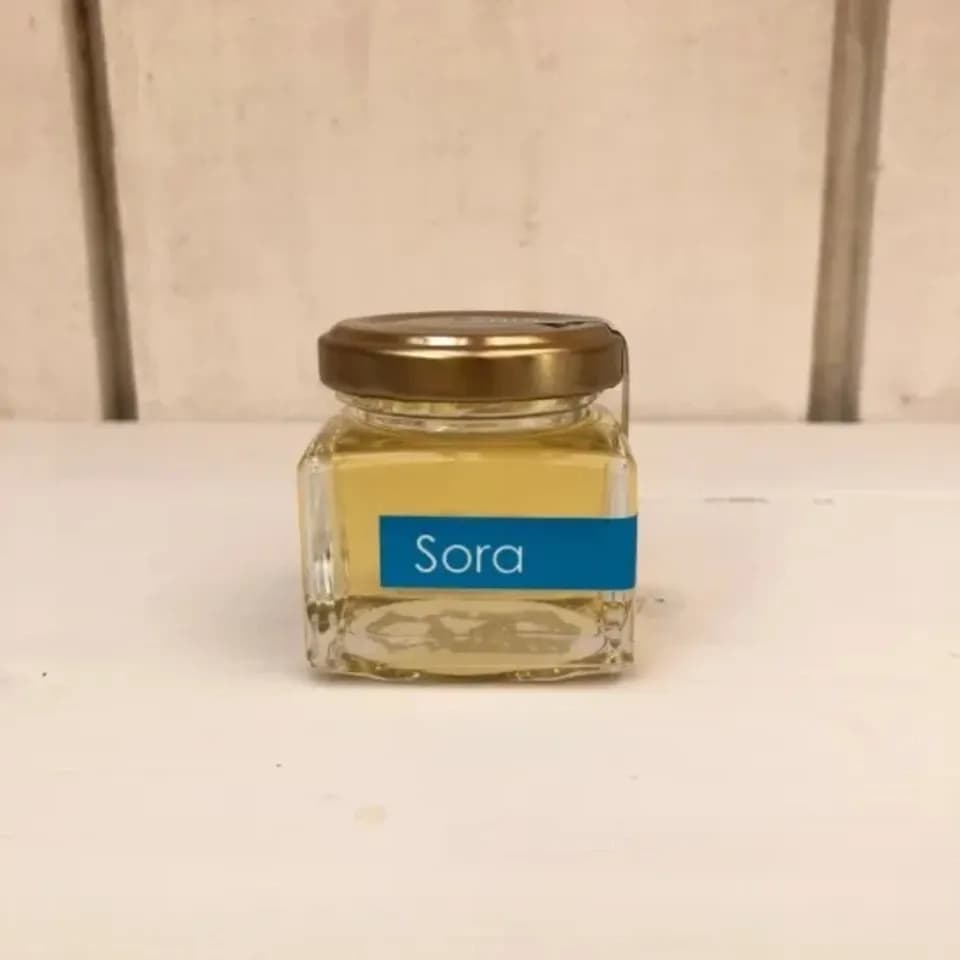 《非加熱・無投薬》自然養蜂で採取した北海道の盛夏の蜂蜜 「Sora」