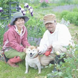 ラ ターブルベールプロフィール画像