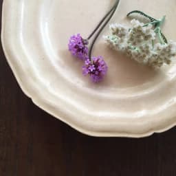 標本菓子箱　−初夏採集−