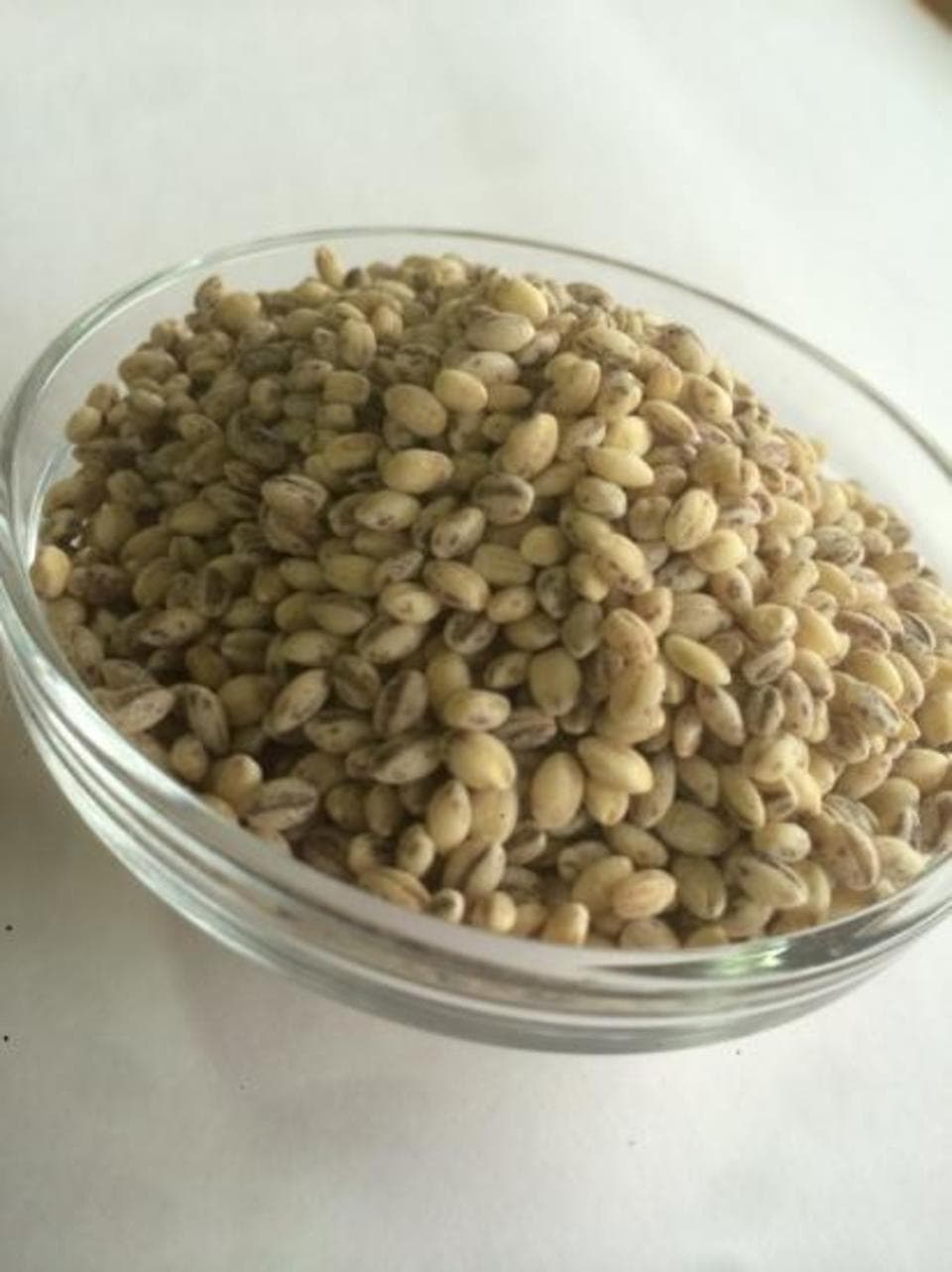もち丸麦 [無農薬・無化学肥料・有機JAS認定]