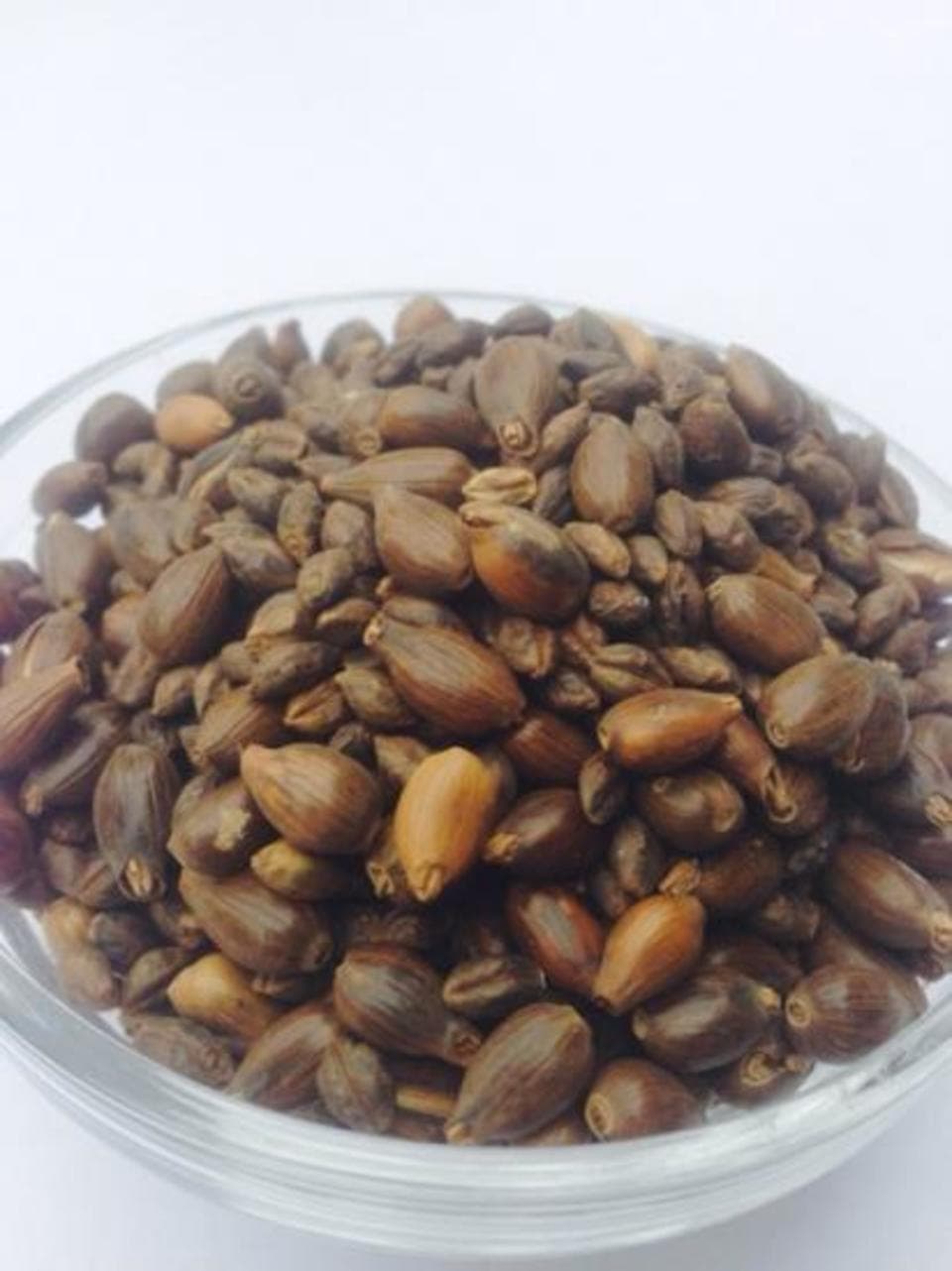 はと麦茶[無農薬・無化学肥料・有機JAS認定]