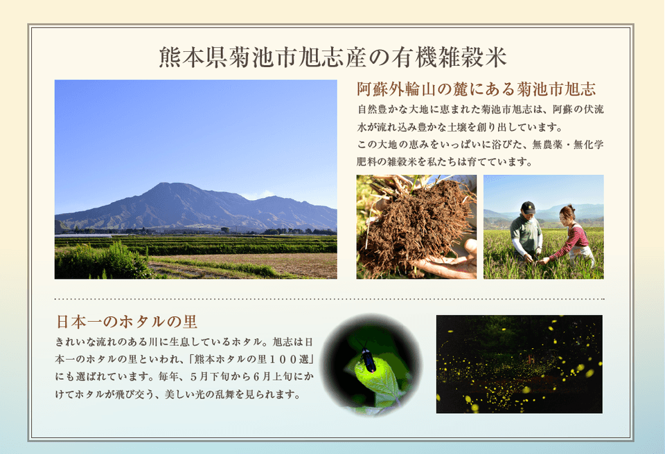 熊本県産 無農薬・無化学肥料 有機JAS認定 小麦粉(強力粉