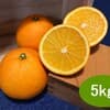 【5kg】サイズ混合(S～2Lサイズ混合)　