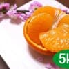 【5kg】等級混合・サイズ混合(小玉を除く)　