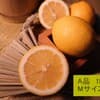 A品・Mサイズ以上