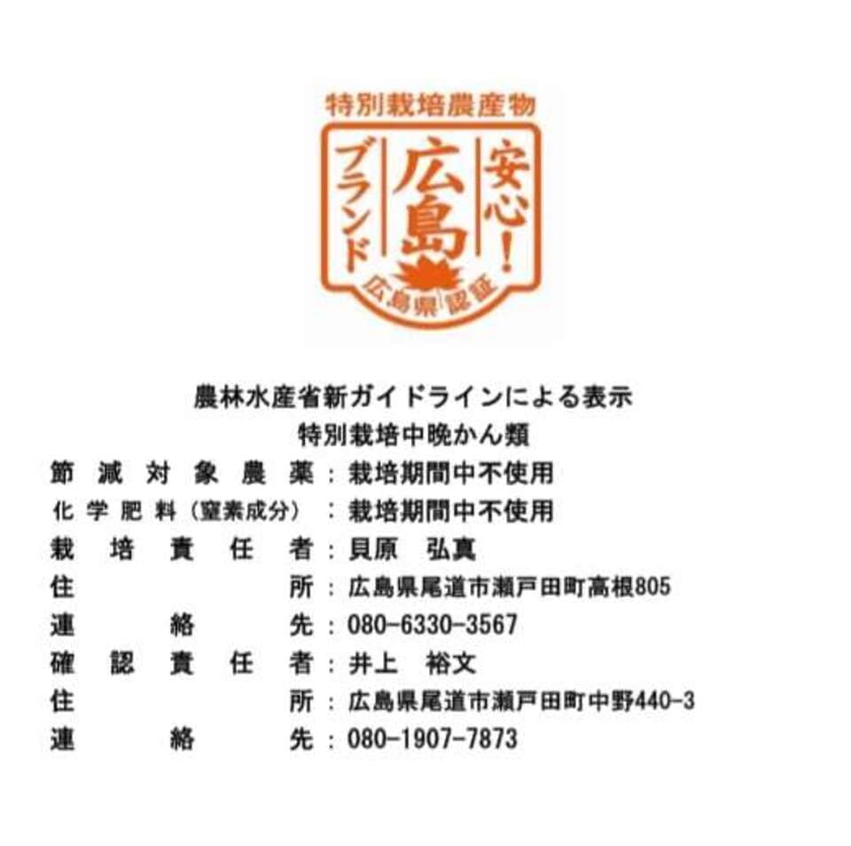 化学農薬・化学肥料・ワックスなど不使用＜希少な国産ネーブル＞広島県特別栽培認証