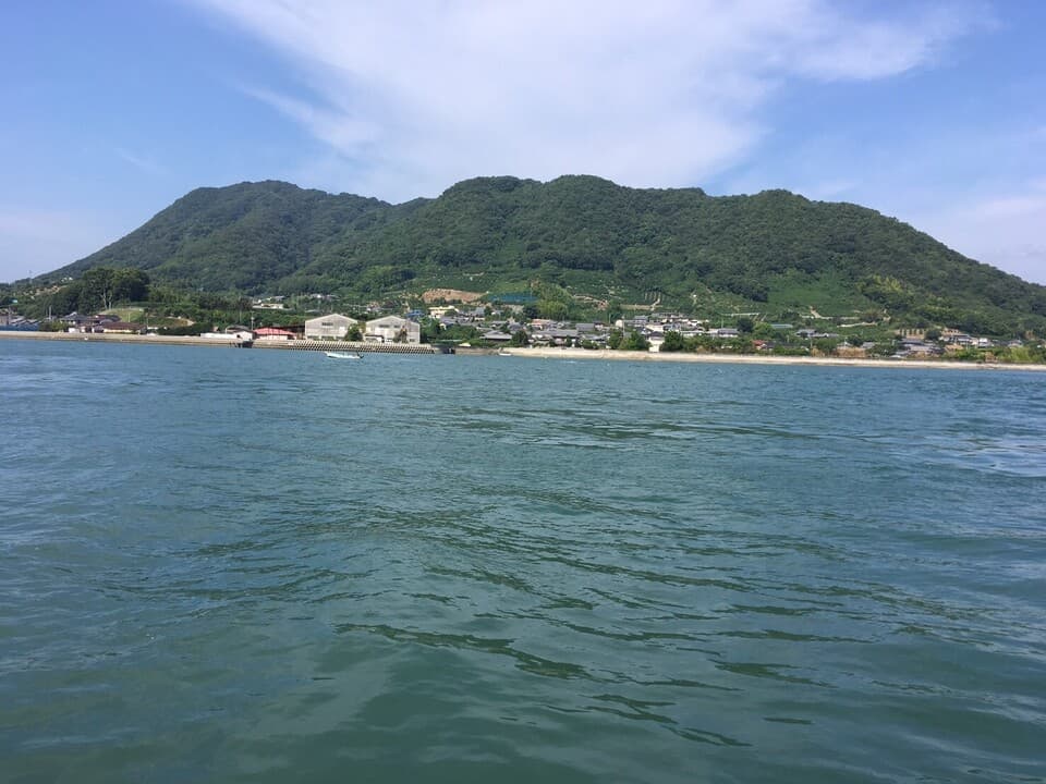化学農薬・化学肥料・ワックスなど不使用＜希少な国産ネーブル＞広島県特別栽培認証