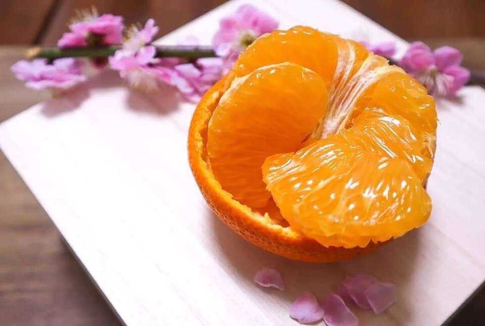 「八朔なのに甘い！」お日様色の紅八朔