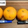 サムネイル 6