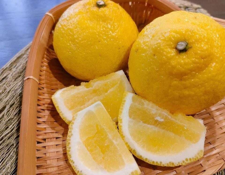 畑のキャンディー！「はるか」