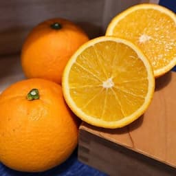 【2kg】サイズ混合(S～2Lサイズ混合)　