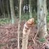 サムネイル 4