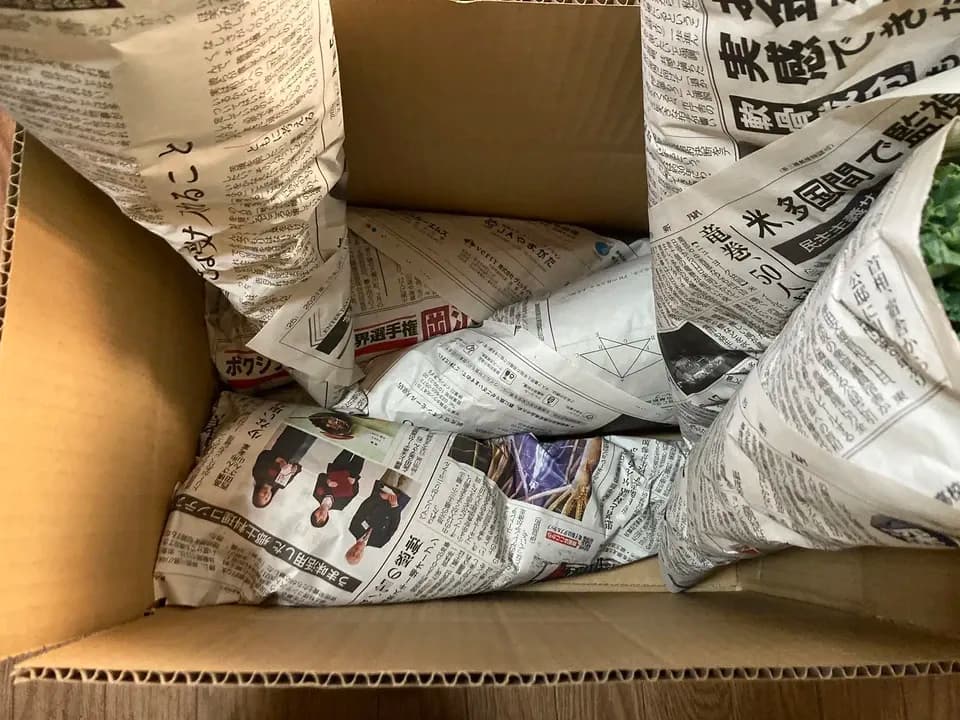【ほぼ自然栽培！お得なまとめ買い！】高栄養のスーパーフード ケールのまとめ売り！
