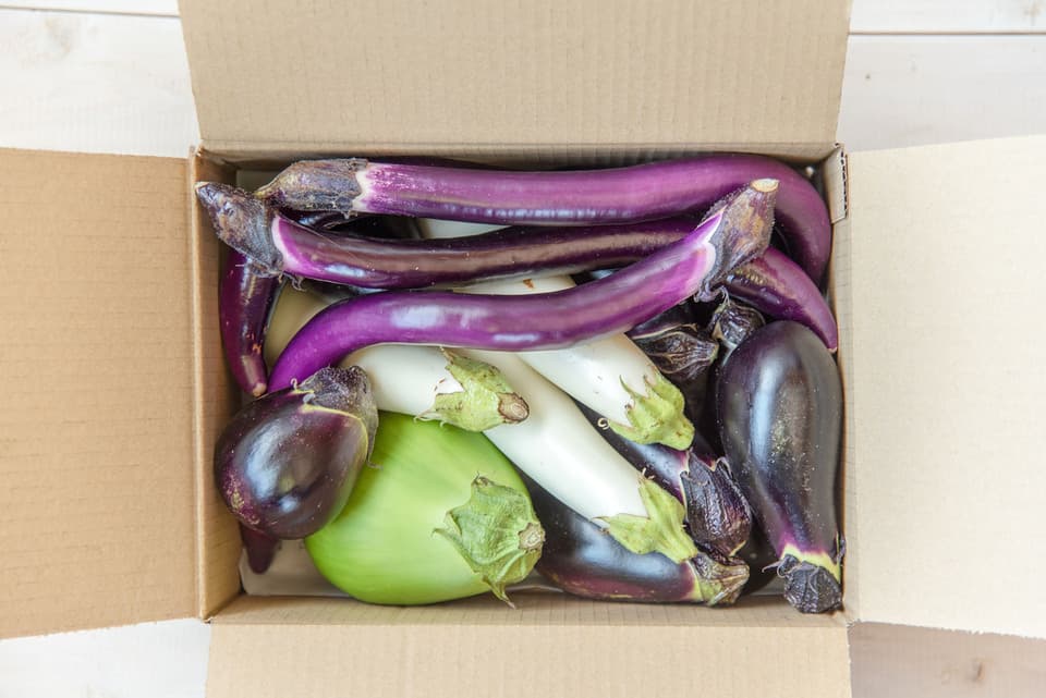 【お得なまとめ買い！！！】今が旬！自然栽培のいろんなナス食べ比べセット（60サイズ段ボールに入るだけ）