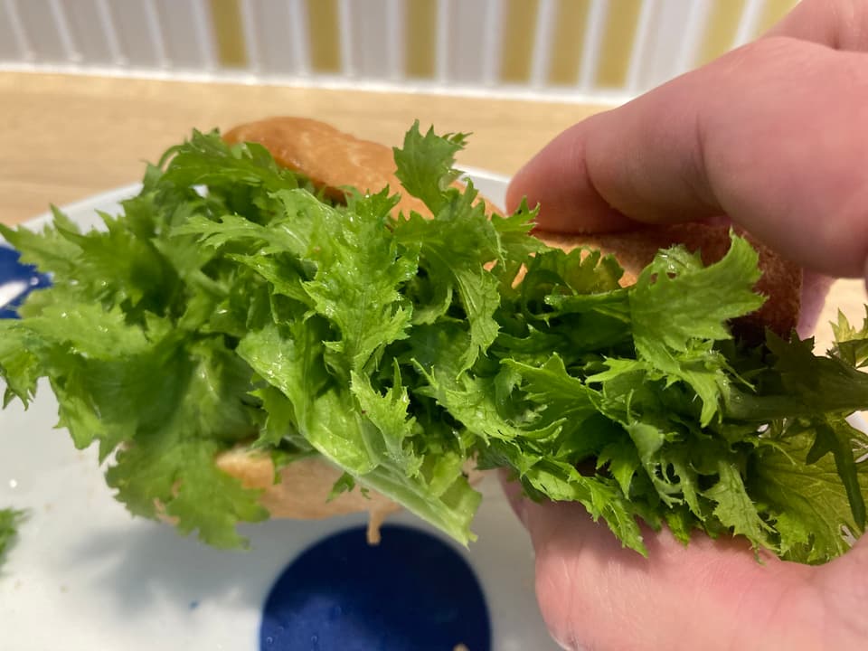 【自然栽培！お得なまとめ買い！】スッキリした辛さが美味しい！！ わさび菜のまとめ売り！