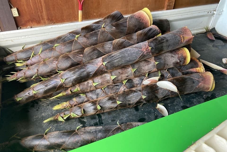 【一度食べたら止まらない】ザクザク食感×煮干しの旨味がガツン！鳥海遊佐メンマ〈煮干しラーメン味〉
