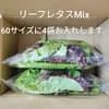 サムネイル 3
