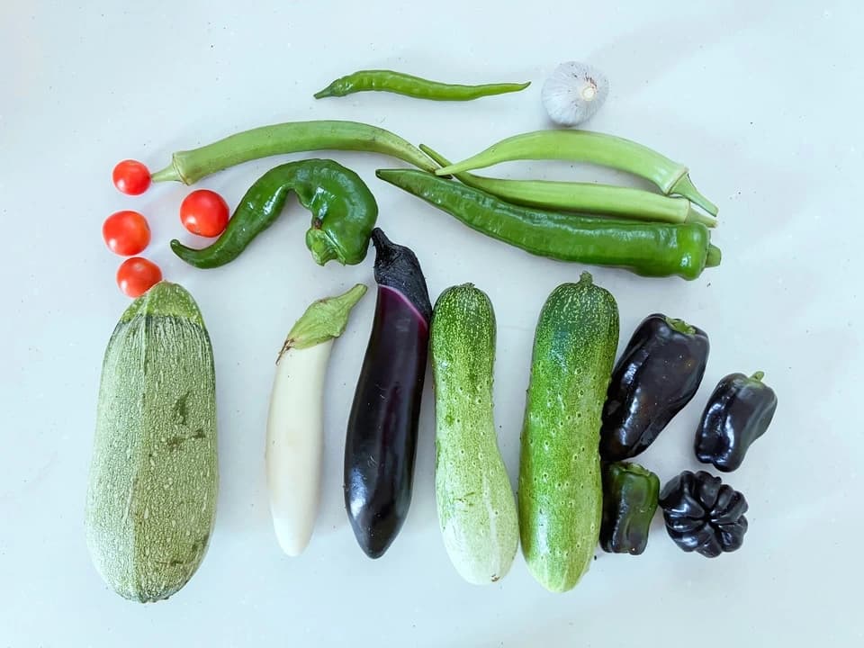 夏野菜セット 水キムチレシピ付き【発酵のチカラで、毎日の食卓をもっと楽しく。】 まえむき。の自然栽培