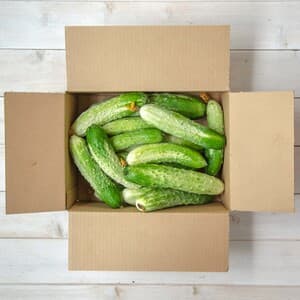 【お得なまとめ買い！！自家採種！！固定種のみ！！】自然栽培の半白きゅうりのレビュー