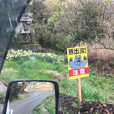 コシアブラ、、、開始までもう少しのようです。。。