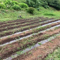 水実験開始。