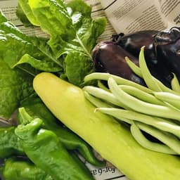 ようやく！！今年もお野菜の販売を開始いたしました！！
