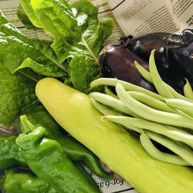 ようやく！！今年もお野菜の販売を開始いたしました！！