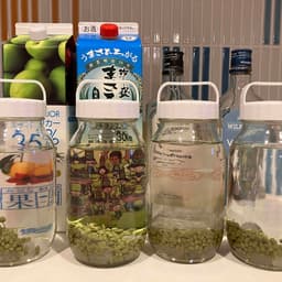 山椒酒実験始めました！！！