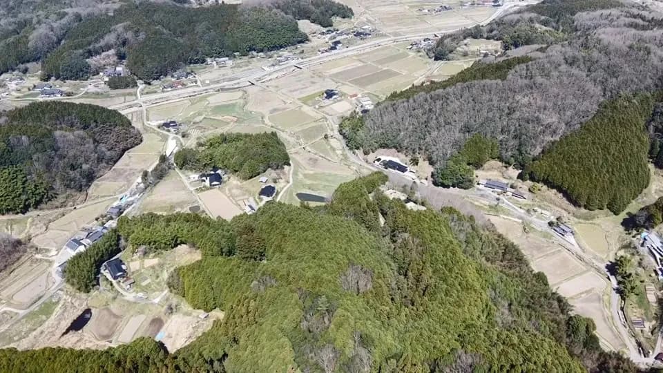 令和7年度産 ＜中生新千本＞白米/玄米　自然栽培・自家採種