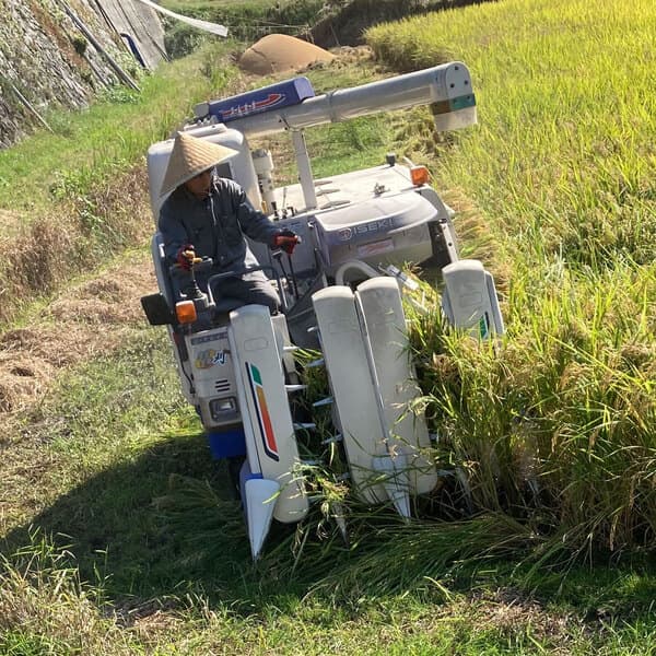 まごころ農園プロフィール画像