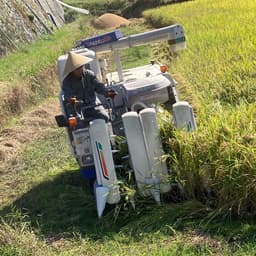 まごころ農園プロフィール画像