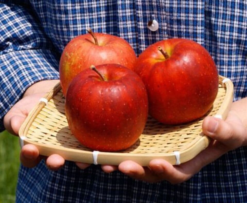 【無農薬・無添加】まっかなほんとのりんごジュース720ｍｌ