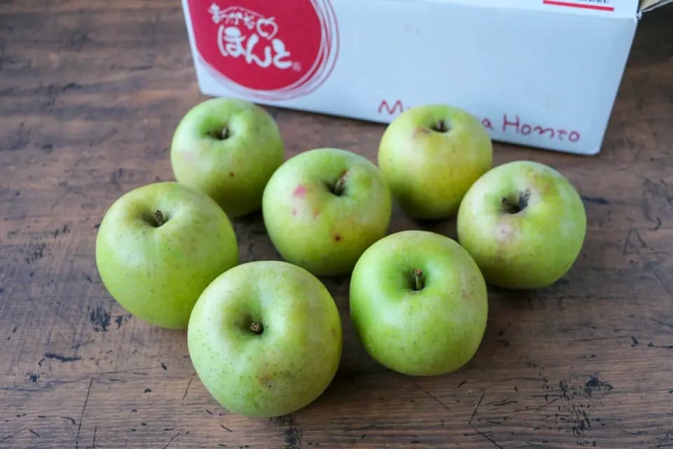 農薬・化学肥料不使用のりんご【王林・早生ふじ・サンジョナ・ぐんま名月・サンふじ】