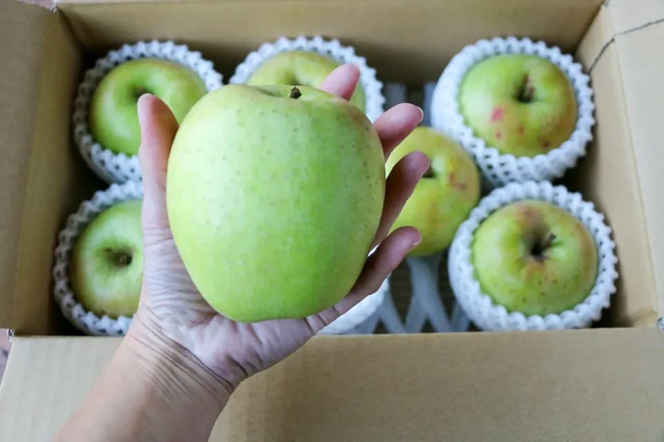 農薬・化学肥料不使用のりんご【王林・早生ふじ・サンジョナ・ぐんま名月・サンふじ】