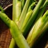 サムネイル 1