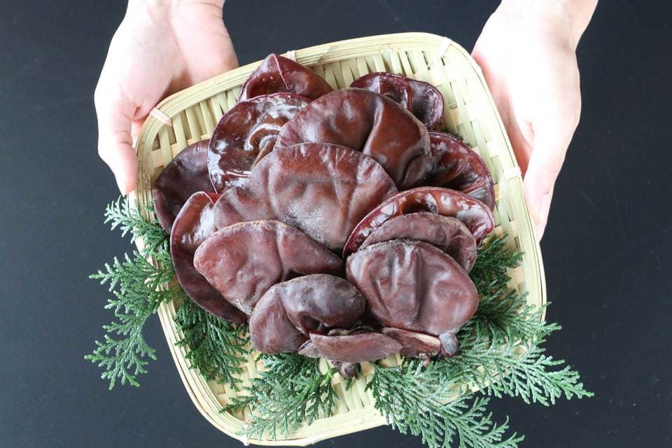 生きくらげ
