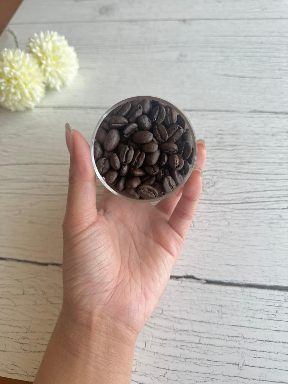フェアトレード&有機栽培原料＜2種*150gお試しセット＞50度お湯洗いのコーヒー豆・粉（フィルター・エスプレッソ・フレンチプレス）