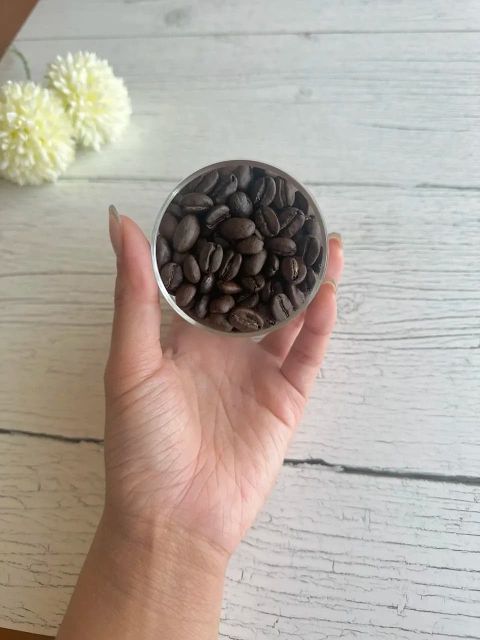 （GIFT）フェアトレード&有機栽培原料＜2種*150g＞50度お湯洗いのコーヒー豆・粉（フィルター・エスプレッソ・フレンチプレス）