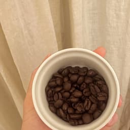 自家焙煎コーヒーって何が違う？通販で買える本格の味とは