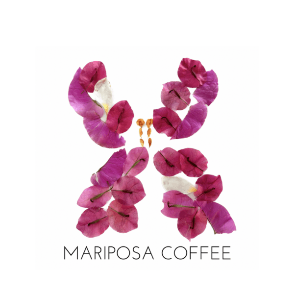 Mariposa Coffeeロゴ