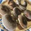 サムネイル 6