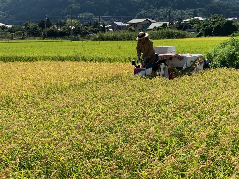 パン用　米粉
