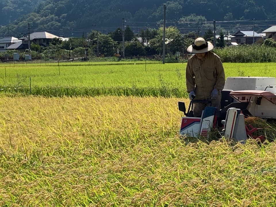 無添加　玄米麺