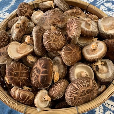 椎茸の季節です