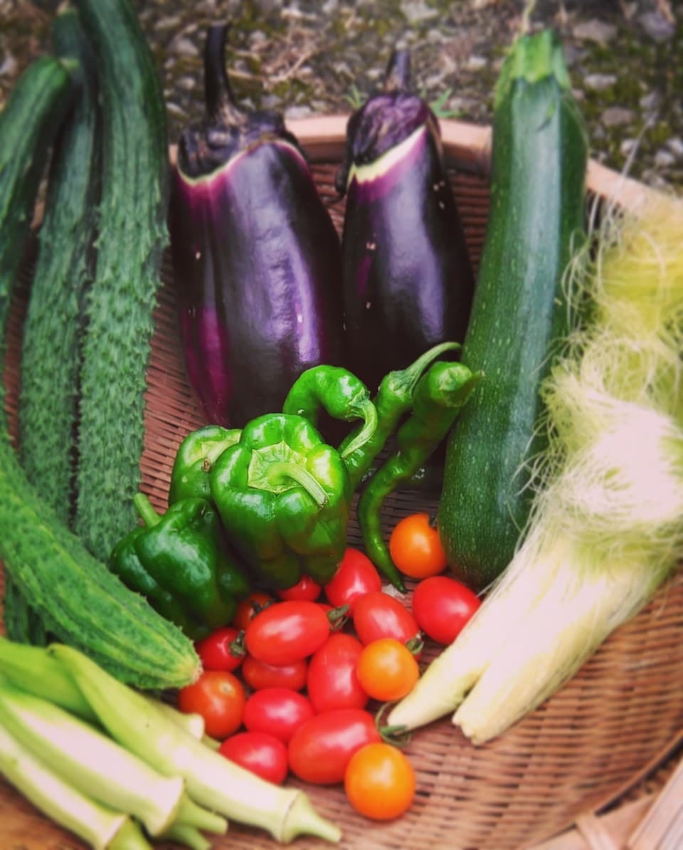 旬のおまかせお野菜セット