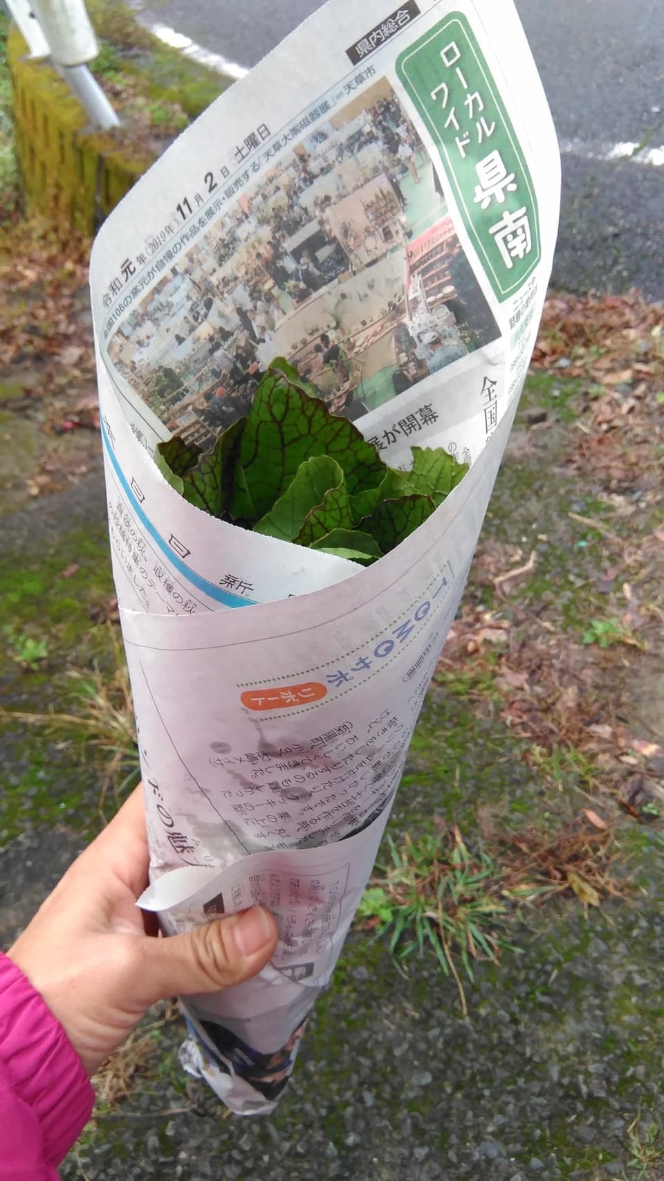 旬のおまかせお野菜セット