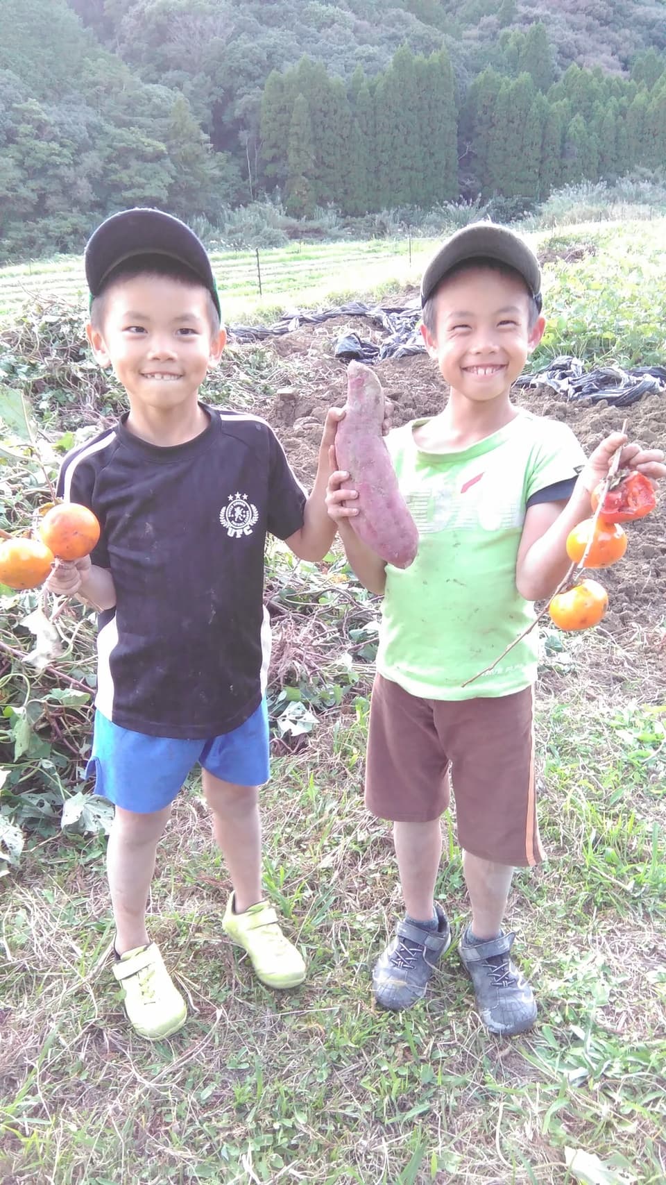 旬のおまかせお野菜セット