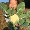 サムネイル 10