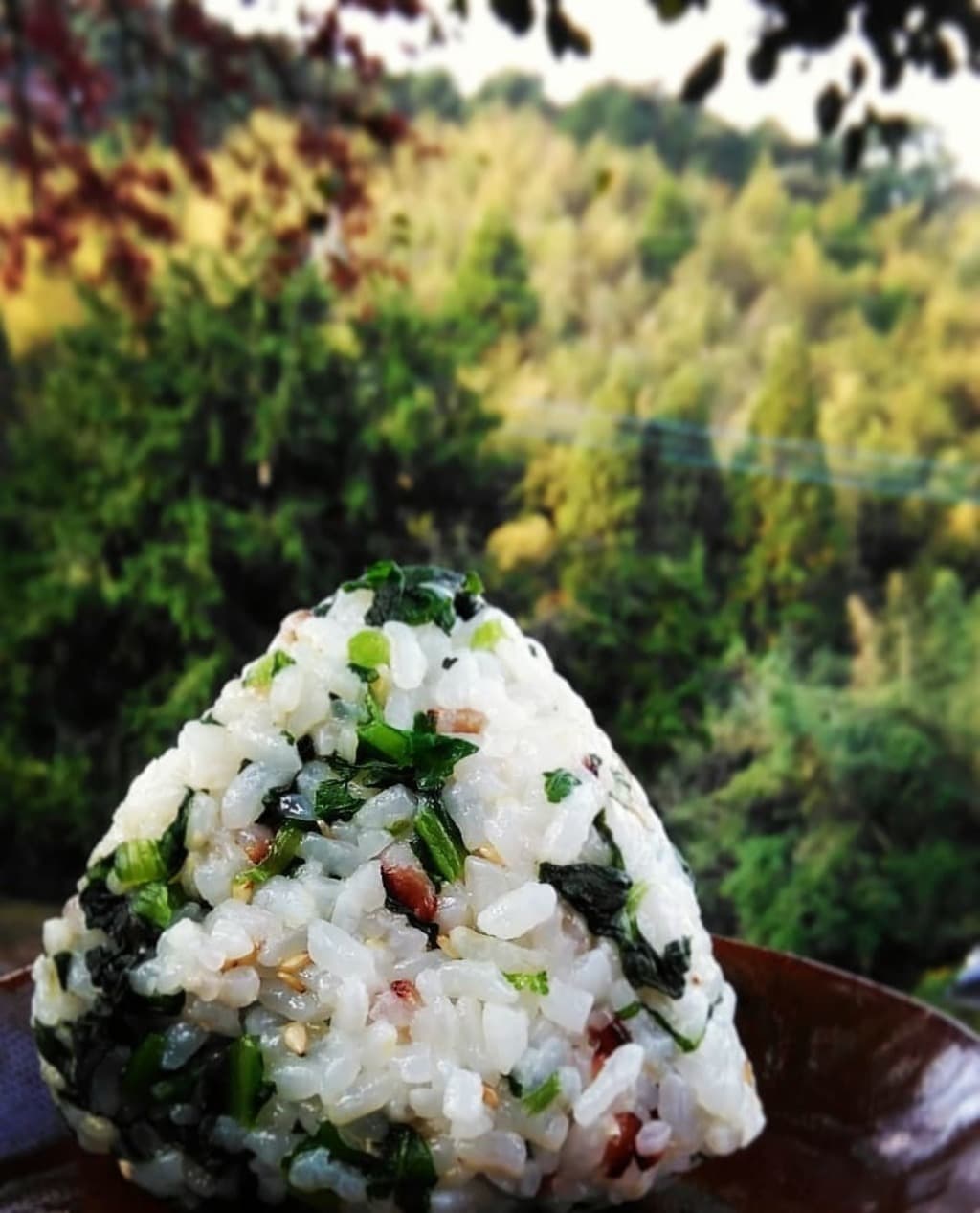 高菜ごはんのおにぎりは宇宙イチ！